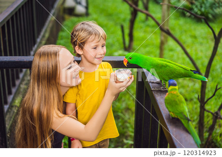 Mom and son feed the parrot in the park. Spending time with kids concept 120314923