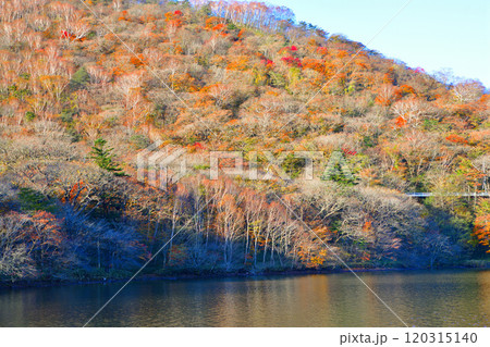 赤城山 赤城大沼 湖畔からの眺め 秋色の景色 赤城山 赤城大沼 湖畔からの眺め 秋色の景色 120315140