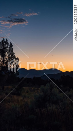 A beautiful sunset over a mountain range with a tree in the foreground 120315337