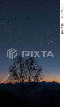 Golden sunset illuminating majestic mountain range with silhouetted tree. Scenic landscape concept. 120315338