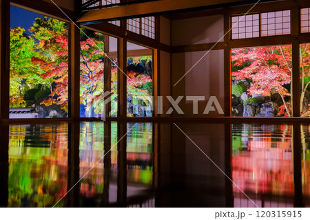 床に映る紅葉 床に映る紅葉 120315915