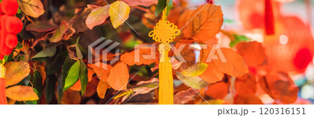 Chinese red lanterns for the Chinese New Year BANNER, LONG FORMAT 120316151
