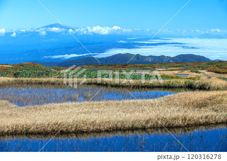 秋の月山弥陀ヶ原 120316278