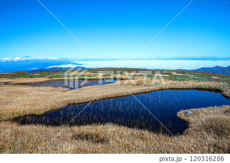 秋の月山弥陀ヶ原 秋の月山弥陀ヶ原 120316286