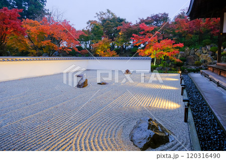 夕暮れの石庭と紅葉 120316490