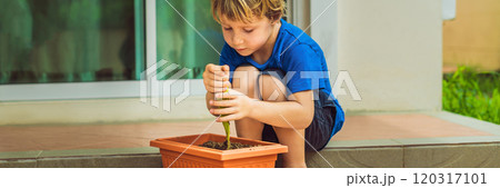 Little cute boy sows seeds in a flower pot in the garden BANNER, LONG FORMAT 120317101