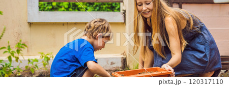 Beautiful young woman and her cute son planting seedlings in bed in the domestic garden at summer day. Garden tools, gloves and watering can outdoors. Gardening activity with little kid and family Beautiful young woman and her cute son planting seedlings in bed in the domestic garden at summer day. Garden tools, gloves and watering can outdoors. Gardening activity with little kid and family 120317110