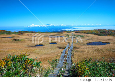 秋の月山弥陀ヶ原 秋の月山弥陀ヶ原 120317219