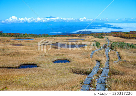秋の月山弥陀ヶ原 120317220