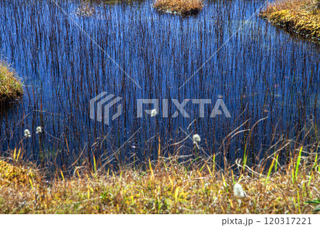 秋の月山弥陀ヶ原 120317221