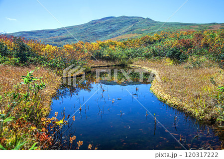 秋の月山弥陀ヶ原 120317222