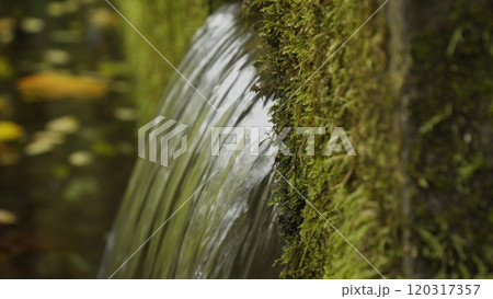 木谷沢渓流11 120317357