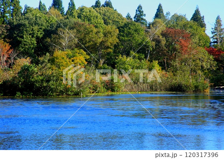 池に映る紅葉 池に映る紅葉 120317396
