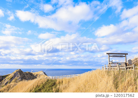 秋風に包まれる神威岬【北海道】 120317562