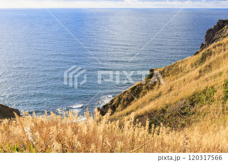 秋風に包まれる神威岬【北海道】 120317566