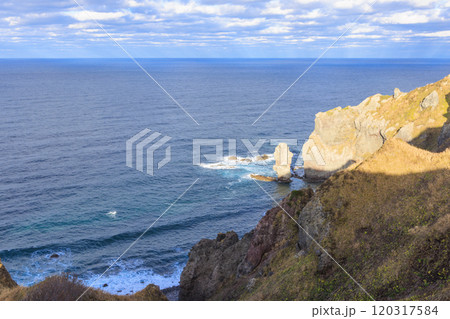 秋風に包まれる神威岬【北海道】 120317584