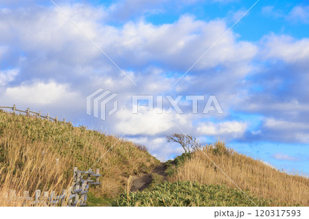 秋風に包まれる神威岬【北海道】 120317593