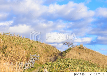秋風に包まれる神威岬【北海道】 120317594
