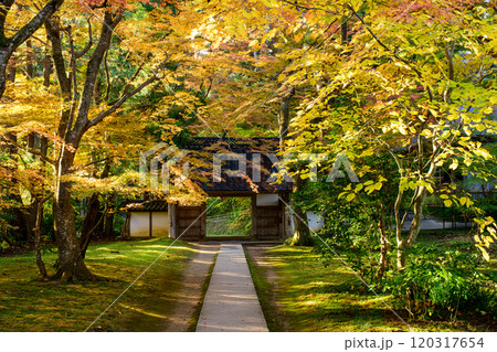 世界遺産中尊寺 光差し込む秋の朝 大長寿院参道 岩手県 世界遺産中尊寺 光差し込む秋の朝 大長寿院参道 岩手県 120317654