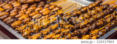 Grill and fried silkworm pupae on stick from Wangfujing street at Beijing, China BANNER, LONG FORMAT Grill and fried silkworm pupae on stick from Wangfujing street at Beijing, China BANNER, LONG FORMAT 120317903