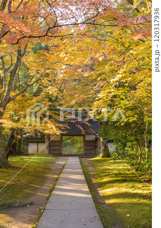 世界遺産中尊寺　光差し込む秋の朝　大長寿院参道　岩手県 120317936
