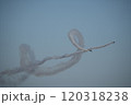 ブルーインパルス6 120318238