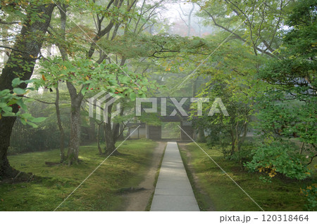 秋近づく中尊寺 朝もやに包まれる門 大長寿院参道 岩手県 秋近づく中尊寺 朝もやに包まれる門 大長寿院参道 岩手県 120318464