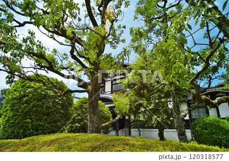 江戸時代へタイムスリップできるまち今井町の今井まちなみ交流センター 120318577