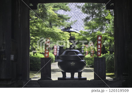 天徳院の夏景色 120319509