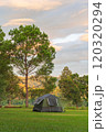 Tourist dome tent camping at forest camping site 120320294