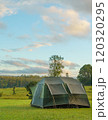 Tourist dome tent camping at forest camping site 120320295