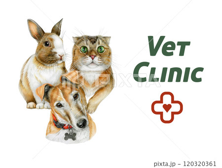 Vet clinic banner with realistic cute cat, dog, bunny illustration red cross, heart and Vet Clinic text. Perfect for pet products, veterinary clinics, animal healthcare branding. White background 120320361