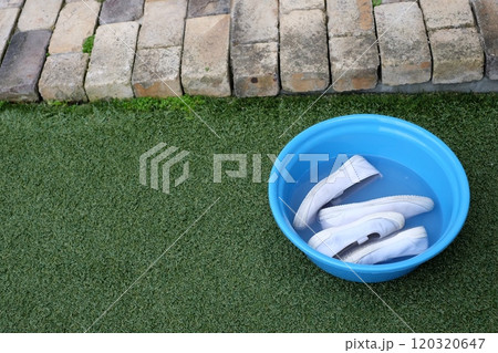 上履き洗い　上靴洗い 120320647