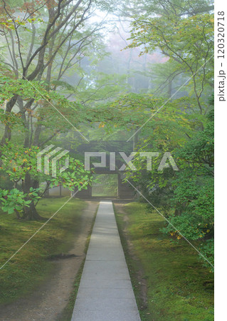 秋近づく中尊寺　朝もやに包まれる参道　大長寿院参道　岩手県 120320718