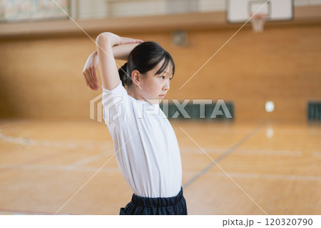 体育館でストレッチをする女の子 120320790