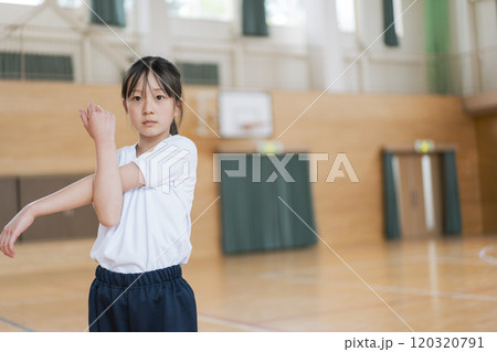 体育館でストレッチをする女の子 120320791