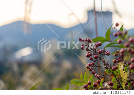 秋の夕暮れの風景 120321177