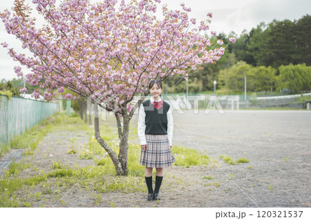 ピンクの花が咲く木の前で立つ女子中学生 ピンクの花が咲く木の前で立つ女子中学生 120321537