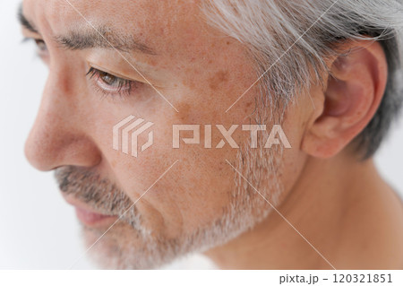 ミドルの白髪男性のフェイスパーツ 120321851