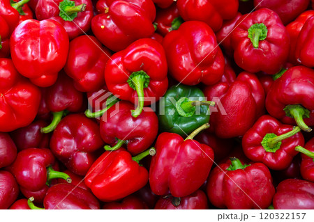 Many of red bell pepper 120322157