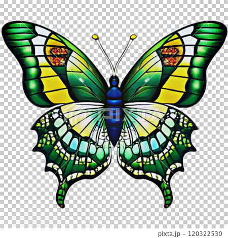 Butterfly old style vintage illustration for design 120322530
