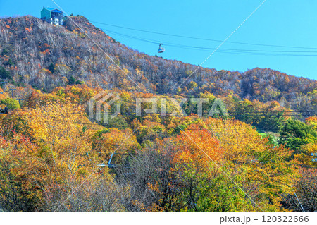 秋の蔵王 120322666