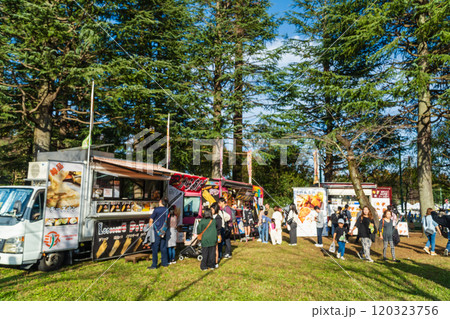 秋のイベント会場 八王子いちょう祭り 秋のイベント会場 八王子いちょう祭り 120323756