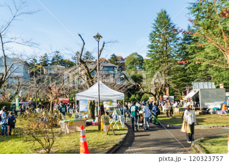 秋のイベント会場　八王子いちょう祭り 120323757
