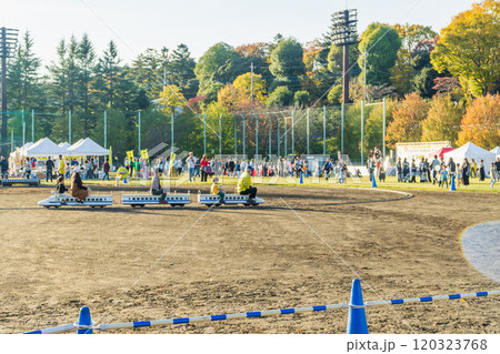 秋のイベント会場 八王子いちょう祭り 秋のイベント会場 八王子いちょう祭り 120323768