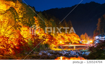 香嵐渓（秋） 120324704