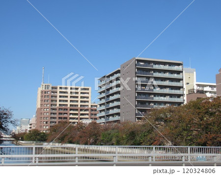 扇橋一丁目付近 120324806