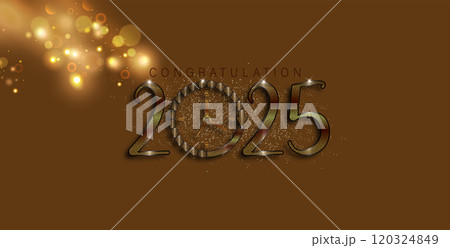 An artistic depiction of New Year 2025 120324849