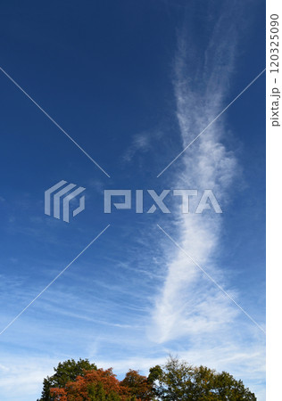 晩秋の空に巻雲 120325090