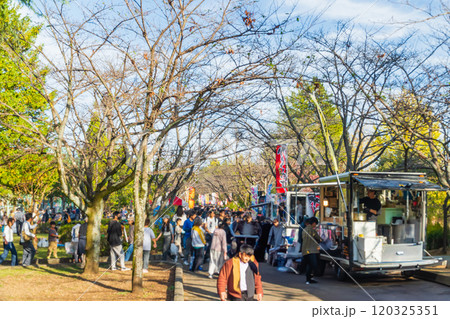 秋のイベント会場　八王子いちょう祭り 120325351